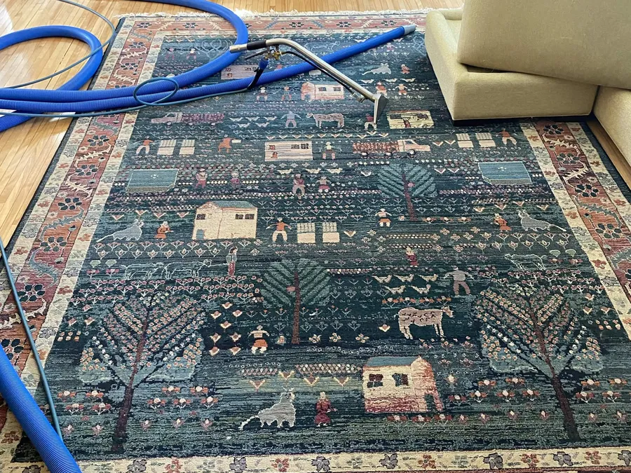 Area & specialty rugs in the Driftless Region