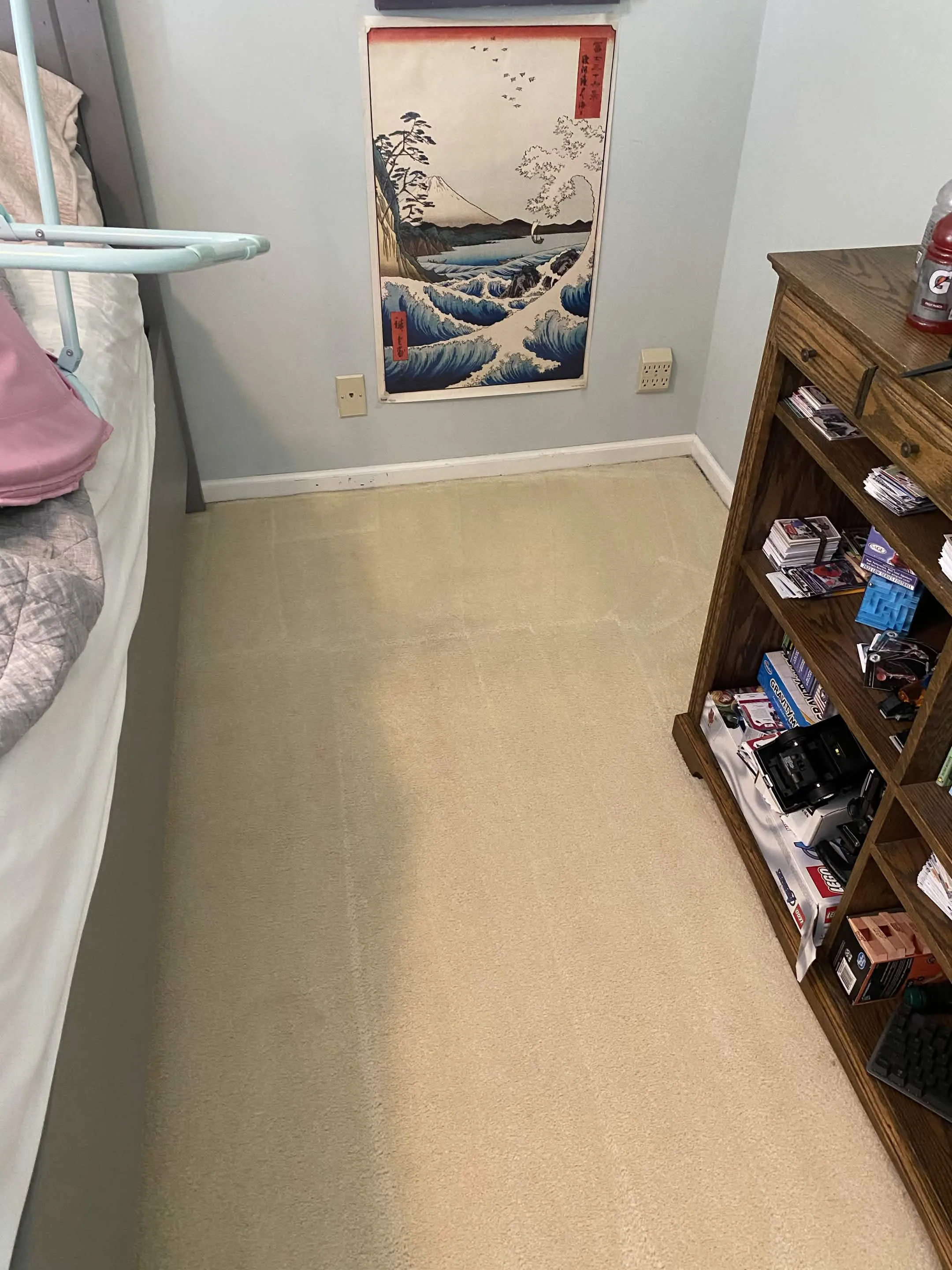 After: carpet cleaning
