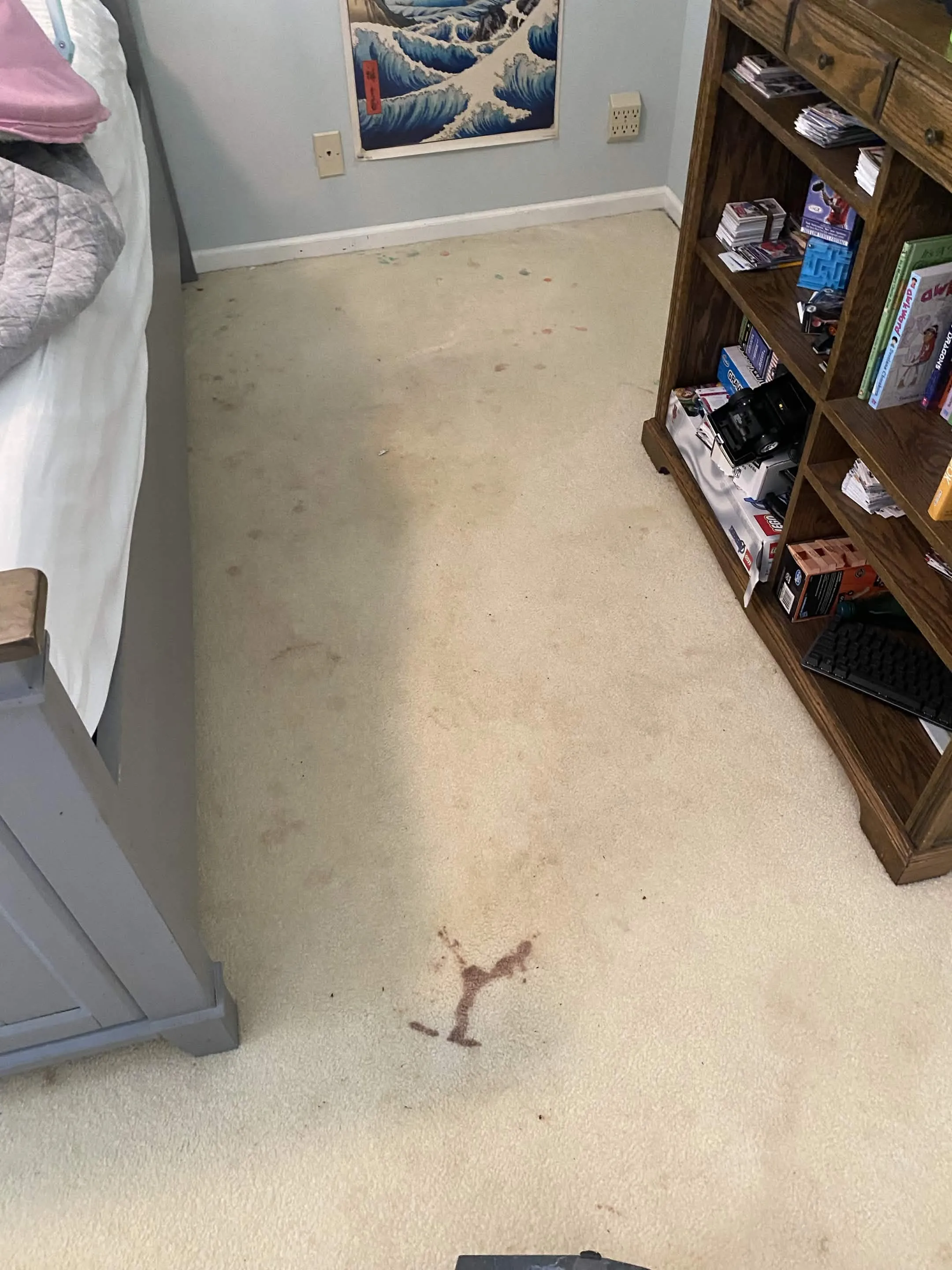 Before: carpet cleaning