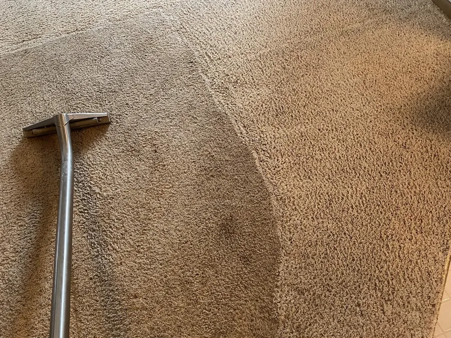 Carpet cleaning in the Driftless Region