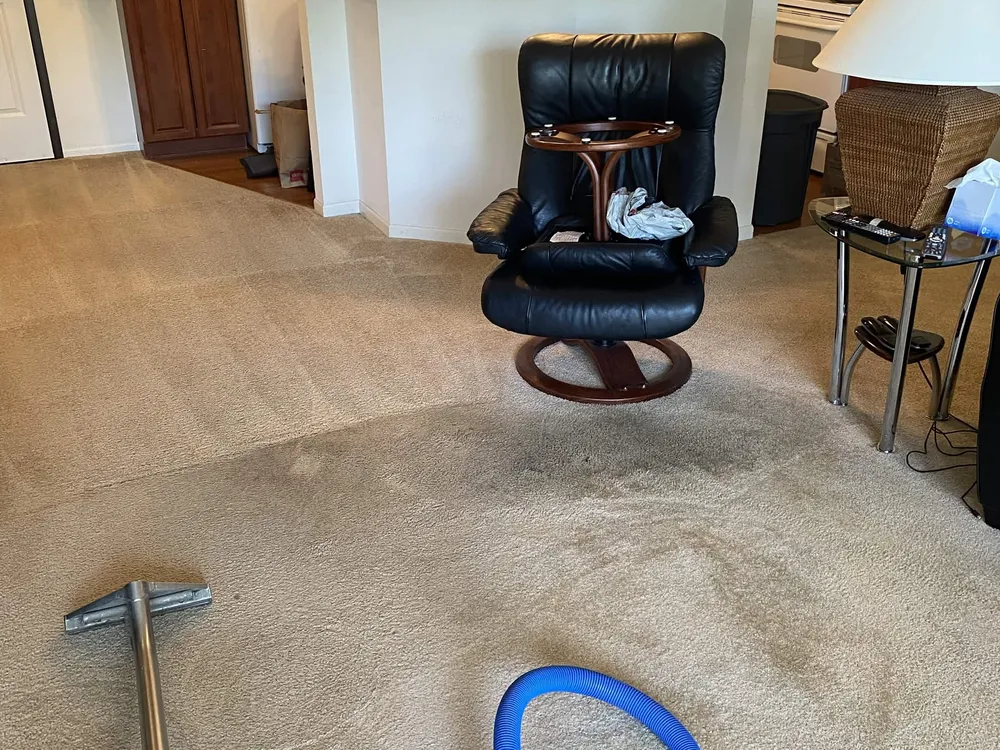 Carpet cleaning mid-job in a customer's home