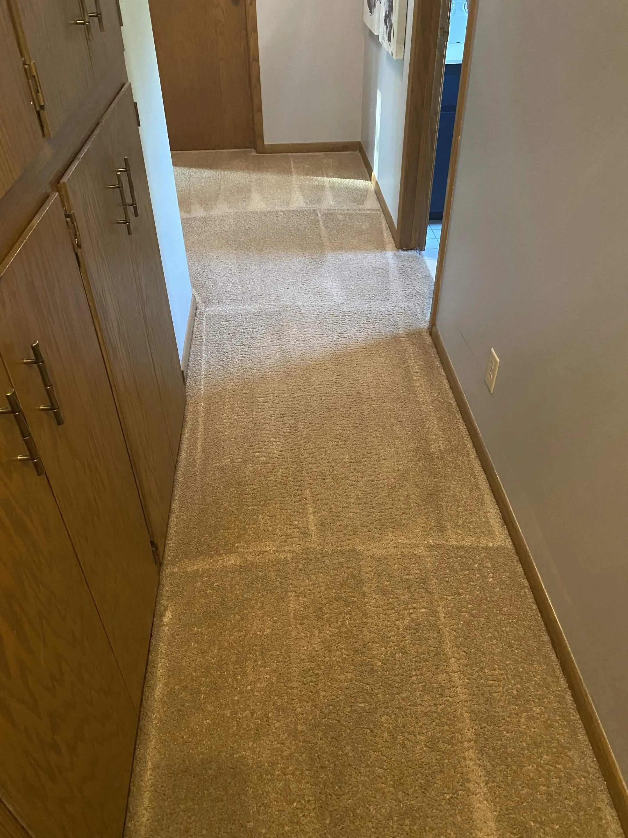 After: Pet stains & odor