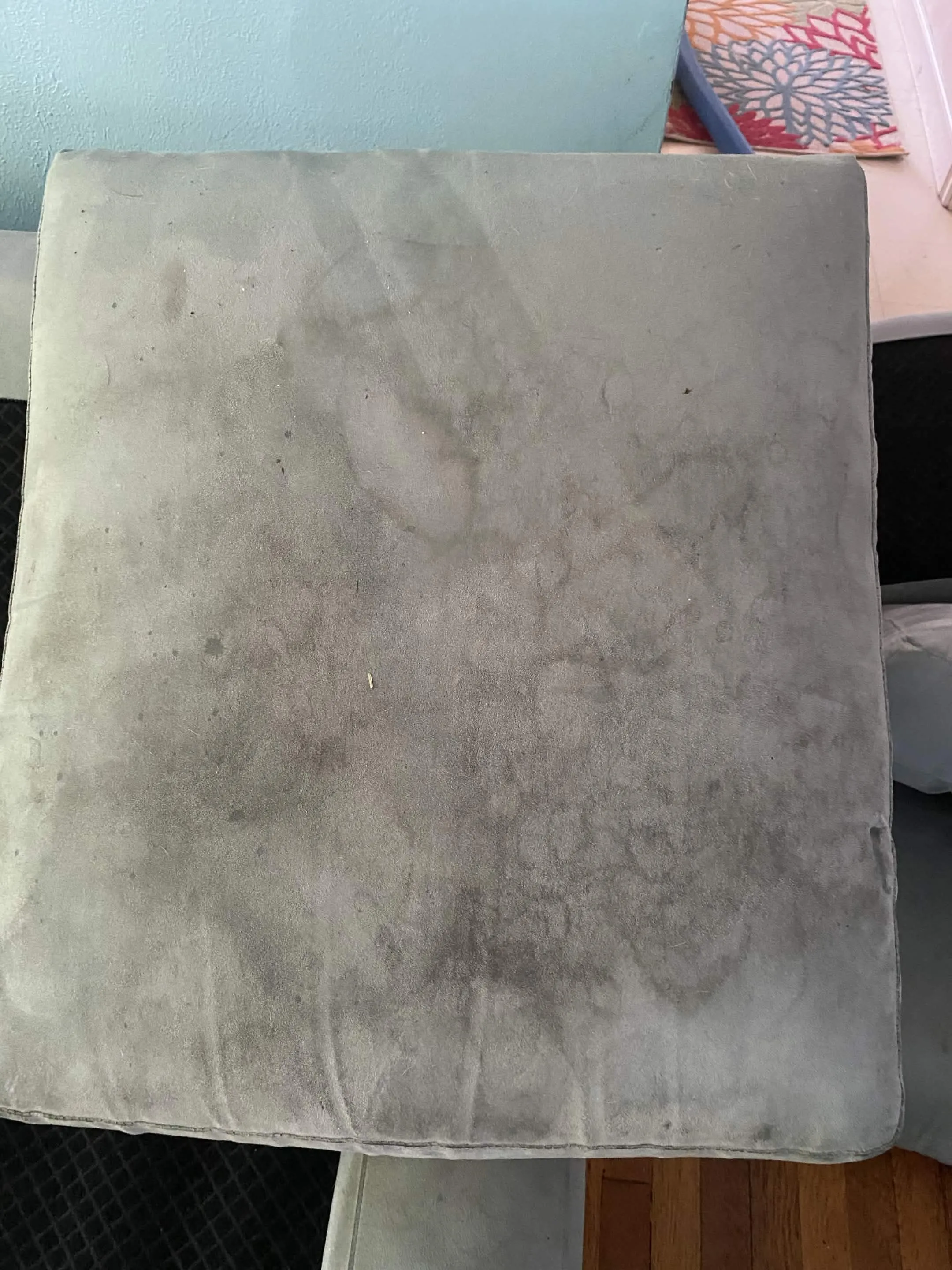 Before: Upholstery cleaning